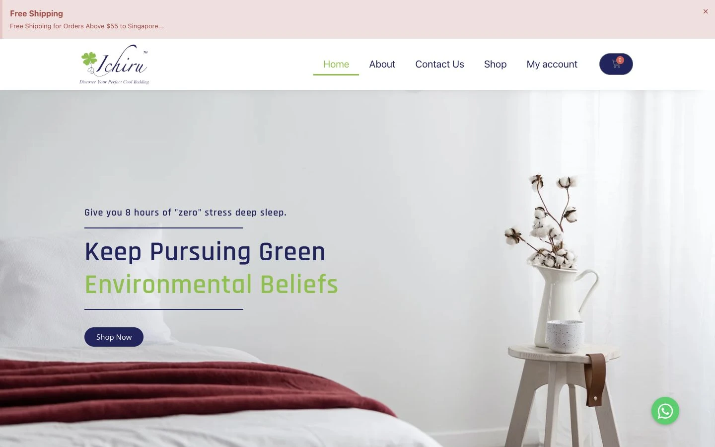 Ichiru Singapore website design