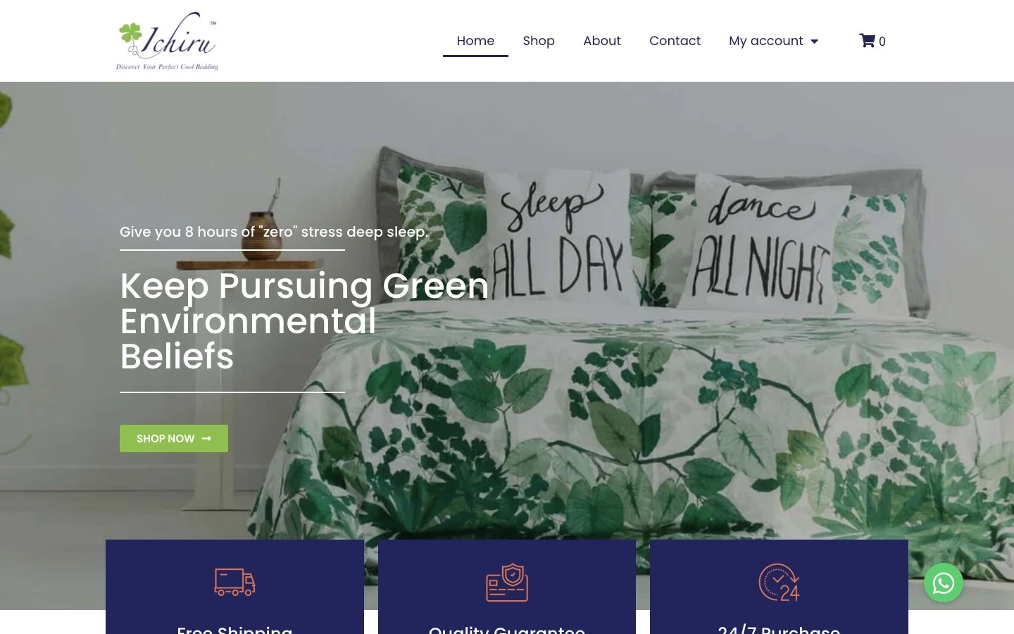 Ichiru Malaysia website design