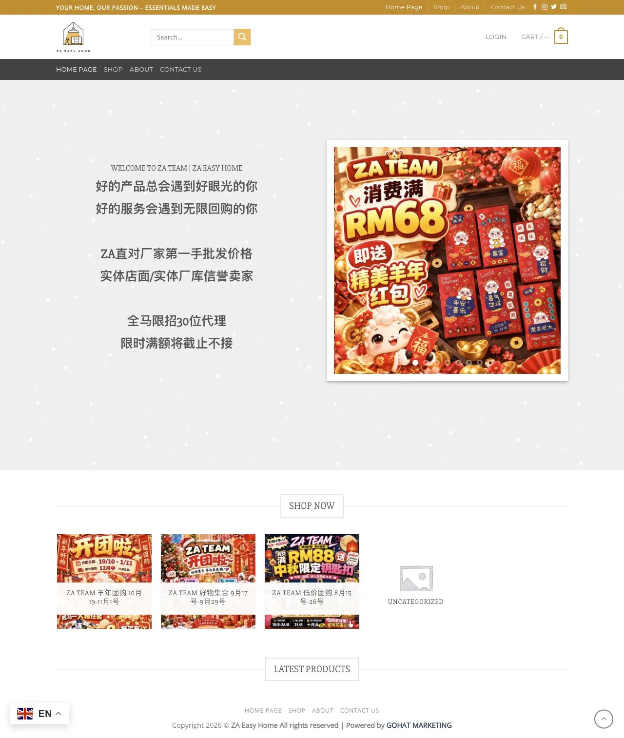 ZA Team website design