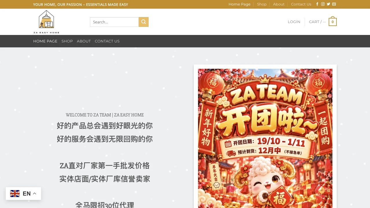 ZA Team website design